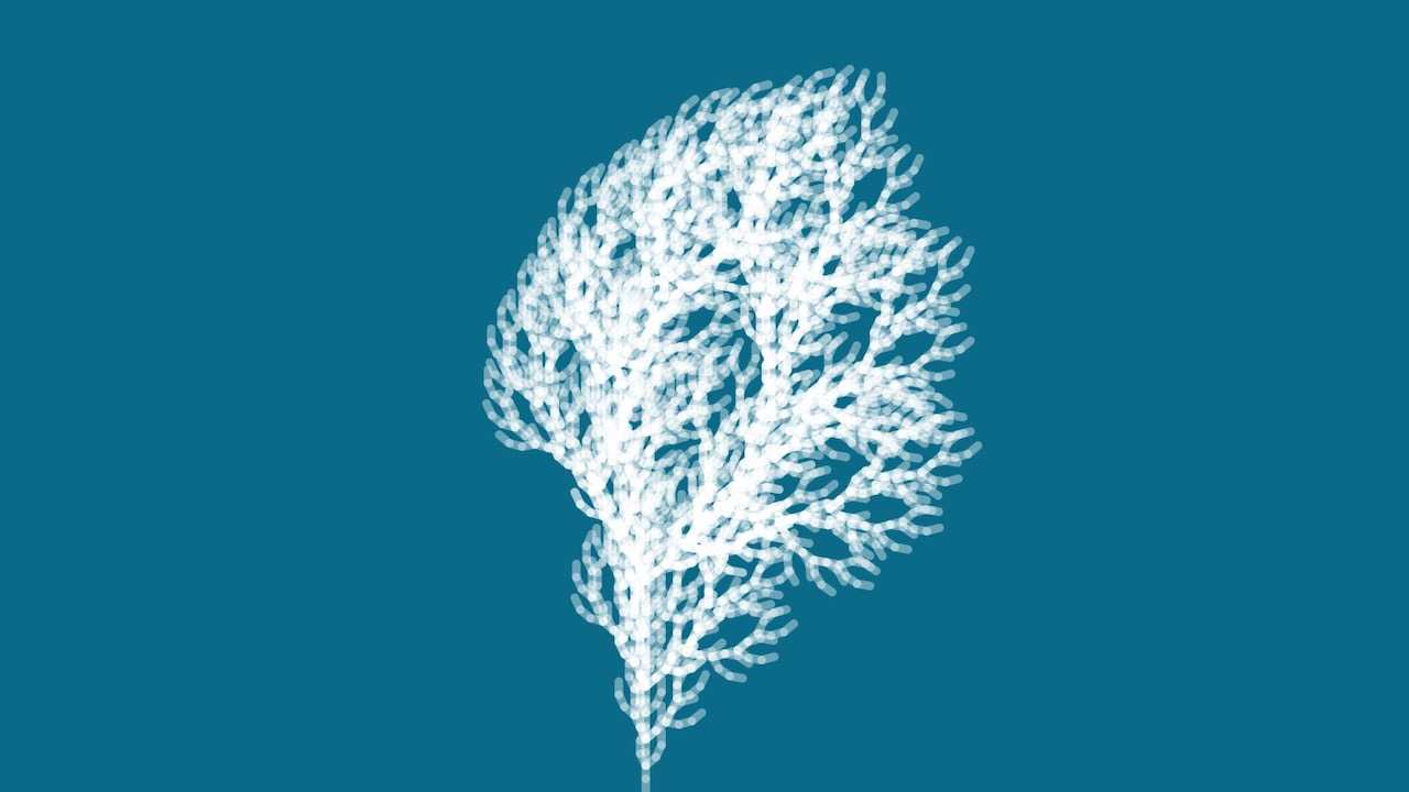 Fractal Trees - L-System